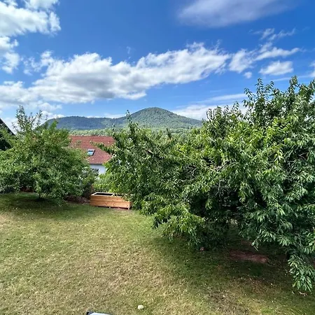 شقة Gartenblick Zwischen Pfalzer Wald Und Weinbergen آنفايلار آم تريفلز